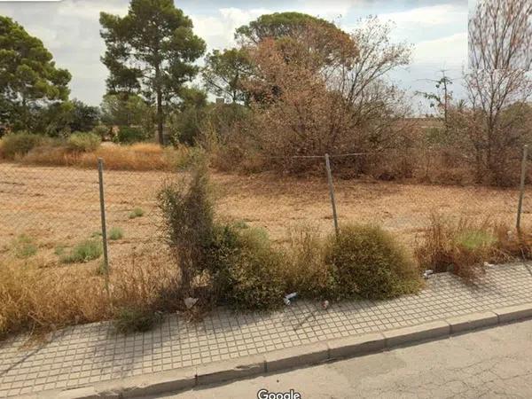 Terreno en La Huerta