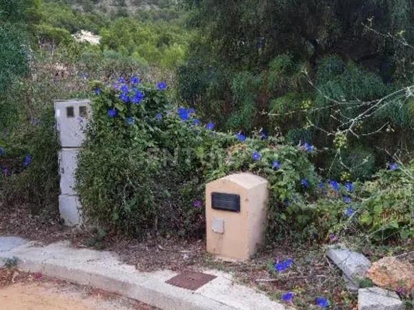 Terreno en calle de Auriga, 20