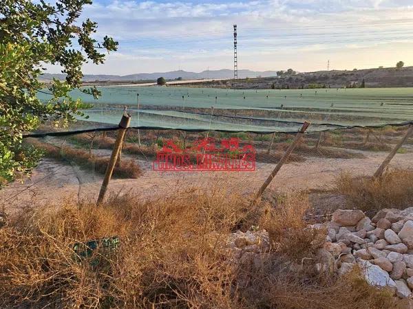 Terreno en Monforte del Cid