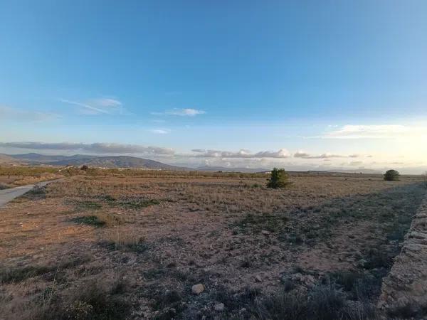 Terreno en Pinoso