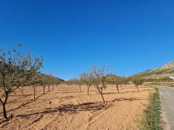 Terreno en La Romana