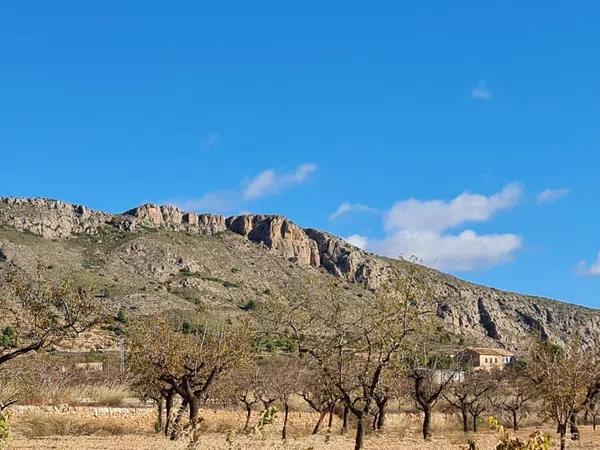 Terreno en La Romana