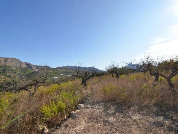 Terreno en Callosa d'En Sarria