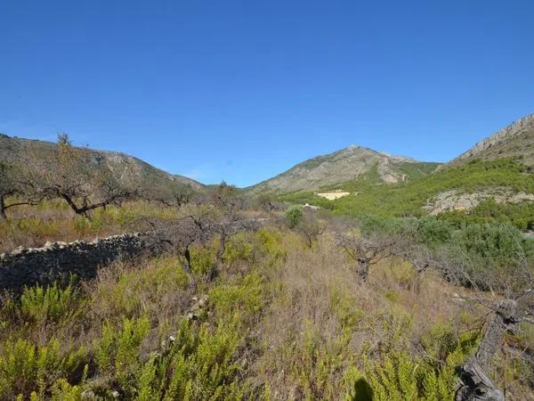 Terreno en Callosa d'En Sarria