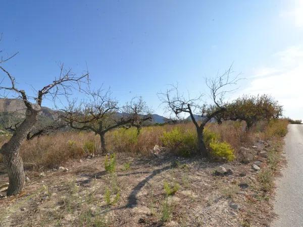 Terreno en Callosa d'En Sarria