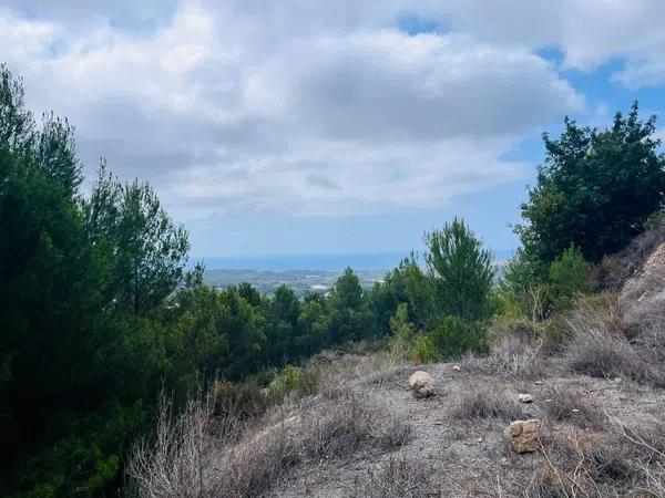 Terreno en Callosa d'En Sarria