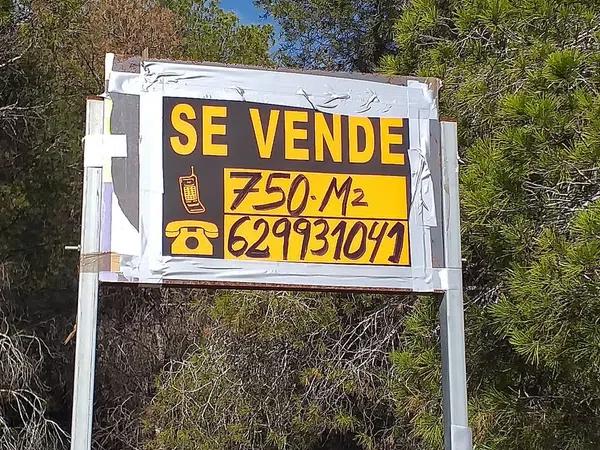 Terreno en calle París s/n