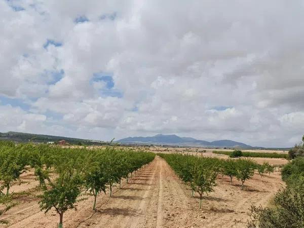 Terreno en Pinoso