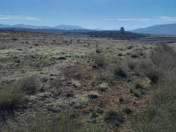 Terreno en Pinoso