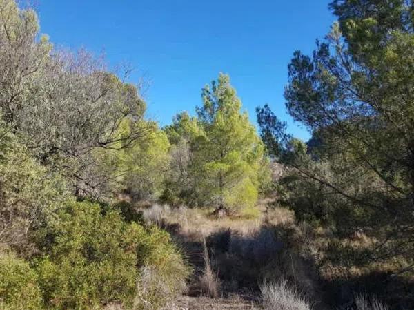 Terreno en Finestrat Pueblo