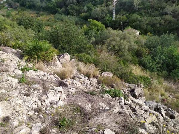 Terreno en avenida Monte Pego-Benimeli, 19