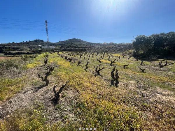 Terreno en Desconocido