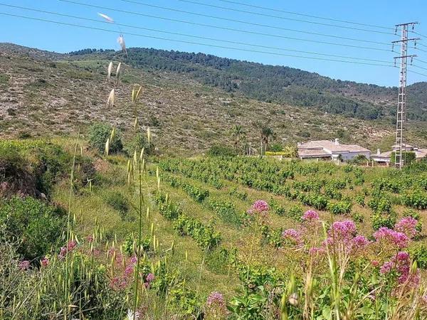 Terreno en Desconocido