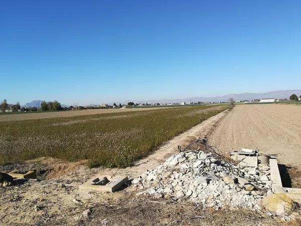 Terreno en San Fulgencio