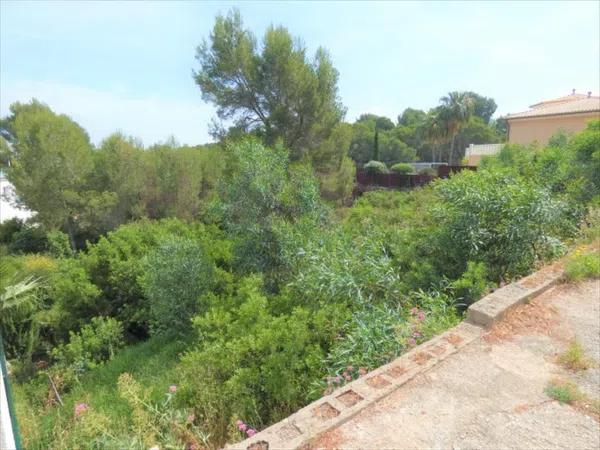 Terreno en La Pedrera-Vessanes