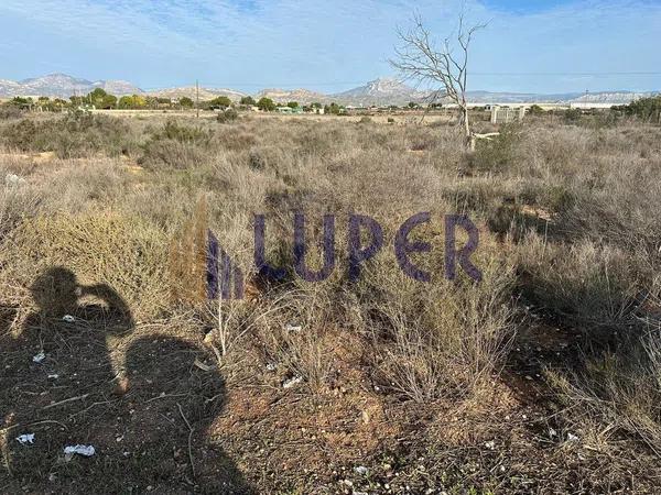 Terreno en Cañada del Fenollar