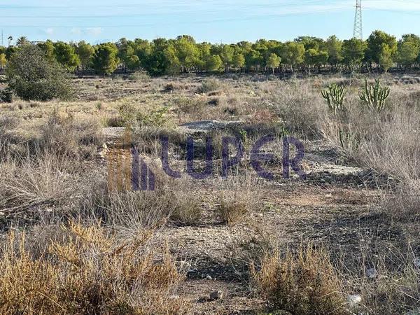 Terreno en Cañada del Fenollar