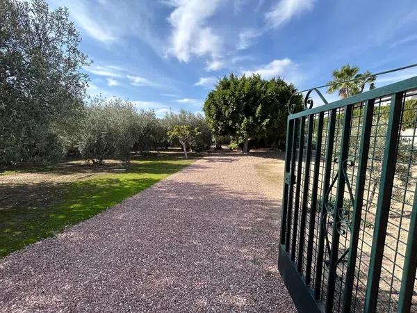 Terreno en calle de l' Andalucita