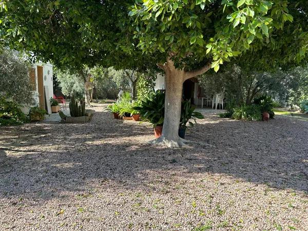 Terreno en calle de l' Andalucita