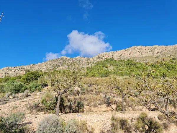 Terreno en La Romana