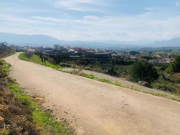 Terreno en camino de l'Ermita, km 4