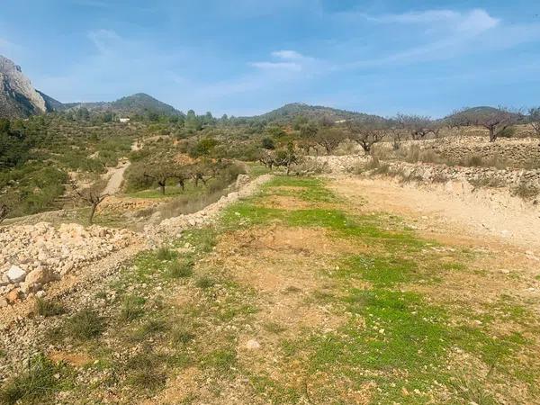 Terreno en camino de l'Ermita, km 4