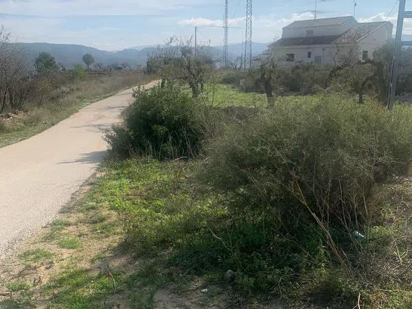 Terreno en camino de l'Ermita, km 4