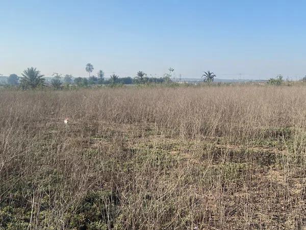 Terreno en Tamarit - Playa Lissa