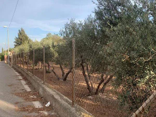 Terreno en Cañada del Fenollar