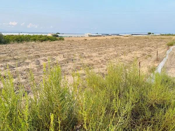 Terreno en La Marina