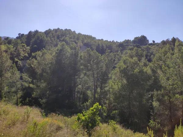 Terreno en Guadalest