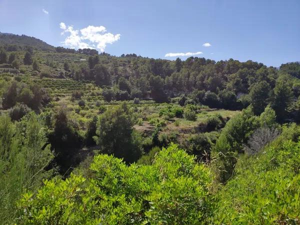 Terreno en Guadalest