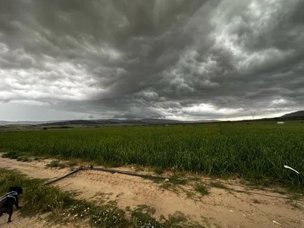 Terreno en Biar