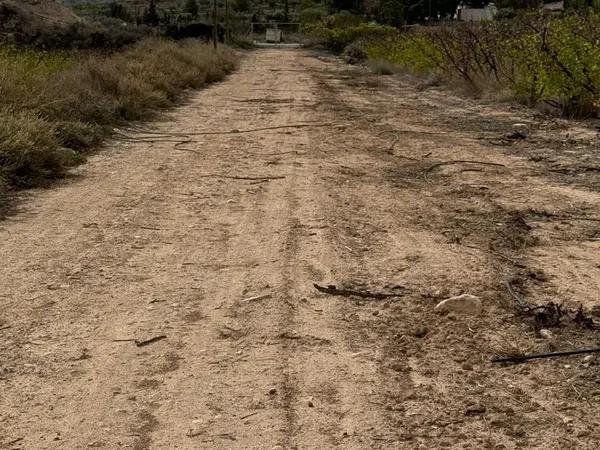 Terreno en camino de la Pedrera, 1