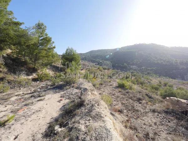 Terreno en Torremanzanas