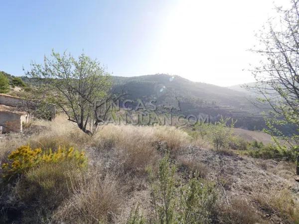 Terreno en Torremanzanas