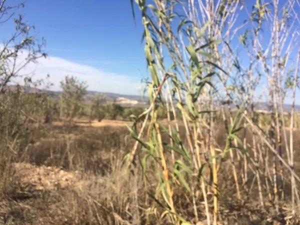 Terreno en Cañada