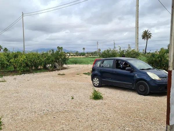 Terreno en Crevillente