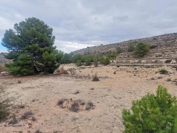 Terreno en Hondón de las Nieves