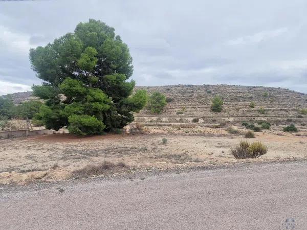 Terreno en Hondón de las Nieves