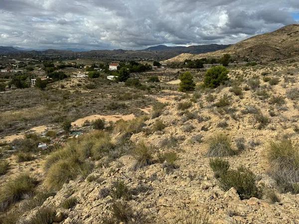 Terreno en Partida Tossal Redó s/n