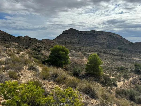 Terreno en Partida Tossal Redó s/n