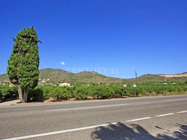 Terreno en avenida d'Alacant