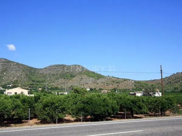 Terreno en avenida d'Alacant