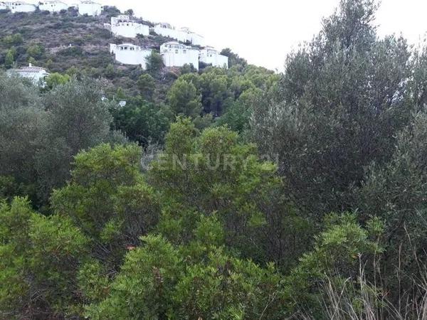 Terreno en avenida Pego