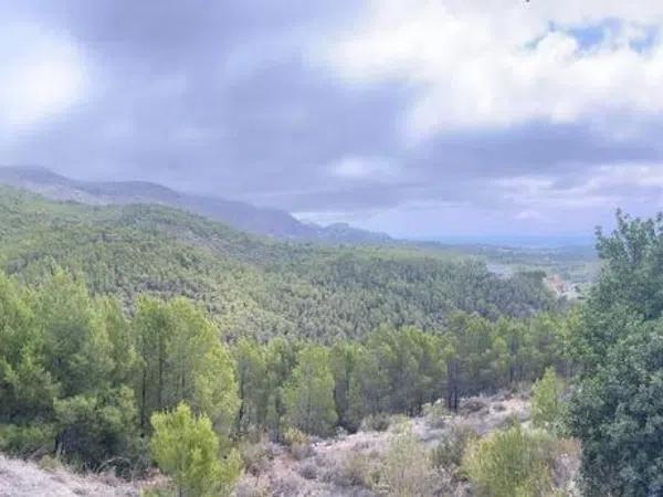 Terreno en Callosa d'En Sarria