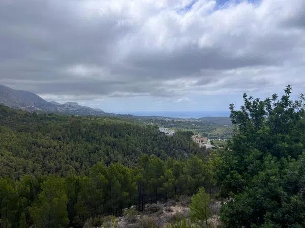 Terreno en Callosa d'En Sarria