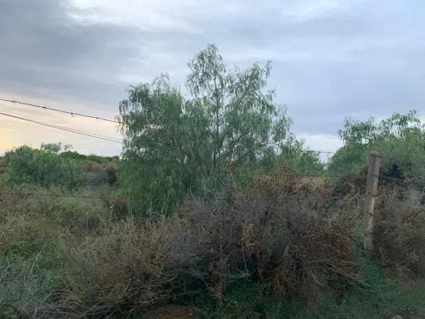 Terreno en Villamontes-Boqueres