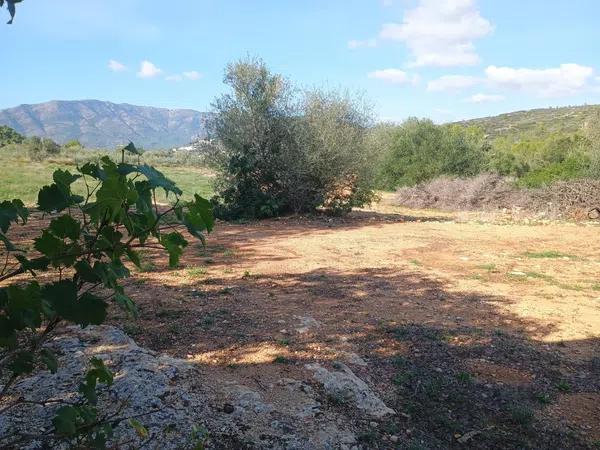 Terreno en Alcalalí