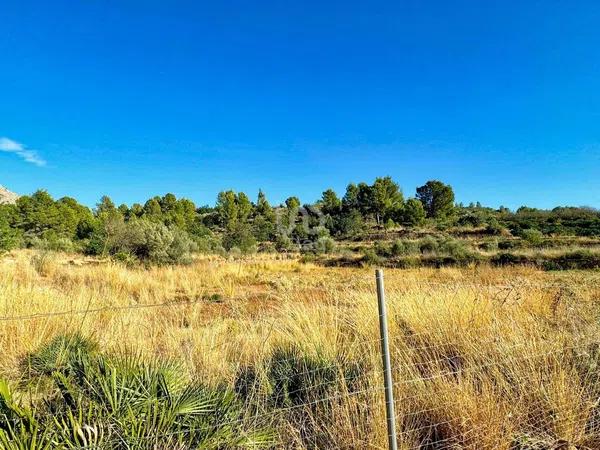 Terreno en Beniarbeig